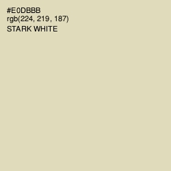#E0DBBB - Stark White Color Image
